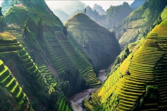 Tây Bắc mùa lúa chín rực rỡ sắc vàng trong ảnh 'Dấu ấn Việt Nam'