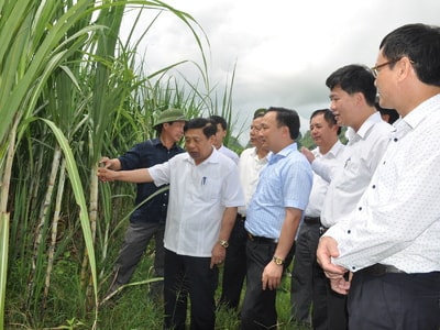 Anh Sơn cần quan tâm phát triển kinh tế, văn hóa và du lịch