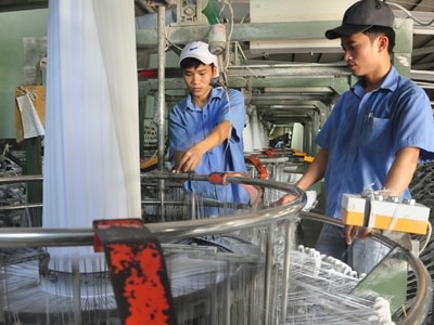 Góp sức trẻ đưa doanh nghiệp hội nhập và phát triển