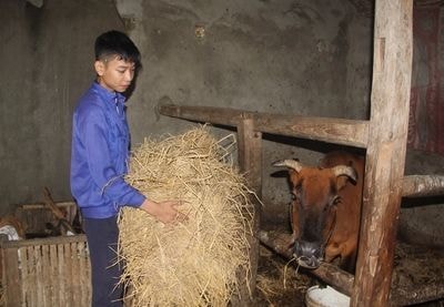 Cậu học sinh mồ côi cha mẹ bỏ dở giấc mơ giảng đường