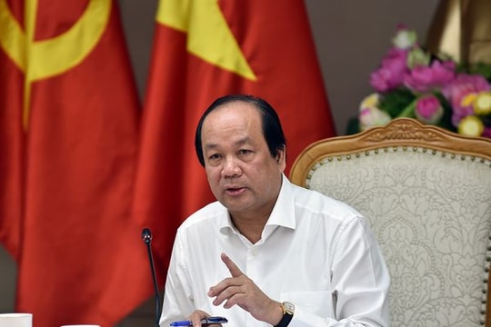 Tổ công tác của Thủ tướng: 'Rừng' thủ tục hành doanh nghiệp tới 14.300 tỷ đồng/năm