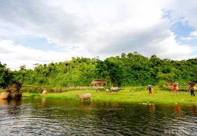 Bộ ảnh quyến rũ một miền rừng Nghệ An