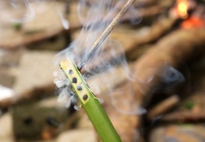 Cận cảnh các công đoạn làm cần uống rượu