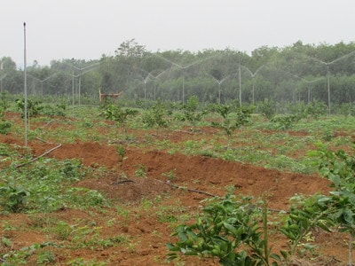 Bồi dưỡng nâng cao năng lực quản trị doanh nghiệp, HTX