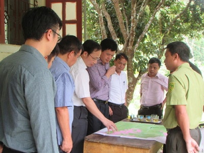 Tập đoàn TH khảo sát trồng dược liệu kết hợp phát triển du lịch tại Con Cuông