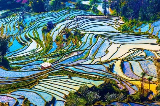 Những thửa ruộng bậc thang tuyệt đẹp khắp châu Á