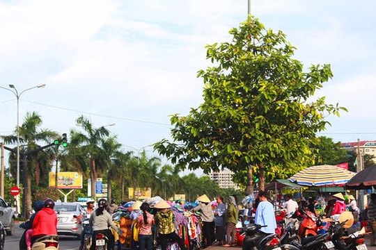 Khó xây chợ tạm cho tiểu thương khu vực Bệnh viện HNĐK tỉnh