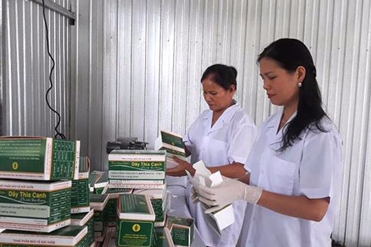 Con Cuông: 2 sản phẩm dược liệu quý xuất bán ra thị trường