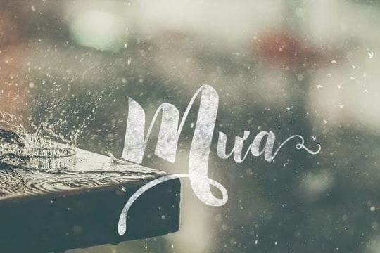 Thời tiết 29/8: Nghệ An mưa trên diện rộng