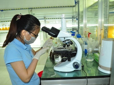 Địa chỉ cung cấp tôm giống uy tín ở Nghệ An