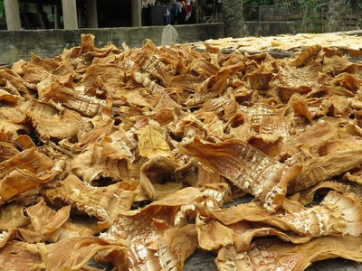 Đặc sản măng khô xứ Nghệ