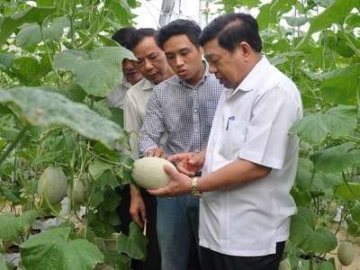 Nghệ An: Mục tiêu nâng vị trí xếp hạng PCI vào nhóm 15-20 của cả nước