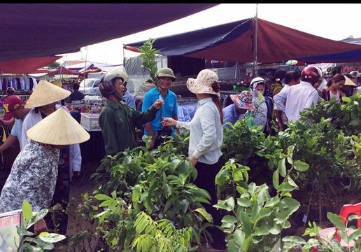 Bát nháo thị trường giống cây trồng ở Nghệ An