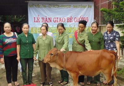 Trao bê giống cho cựu TNXP