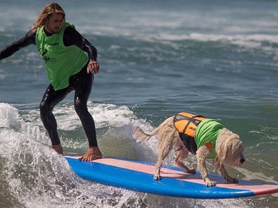 Kiếm tiền từ việc xem tivi và chơi điện tử