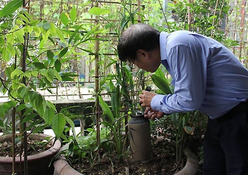 Làm gì để cả nhà khỏe khi nghỉ lễ trong tâm dịch sốt xuất huyết?