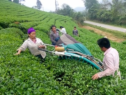 Tháo gỡ bế tắc, mở hướng phát triển trên quê hương Xô Viết