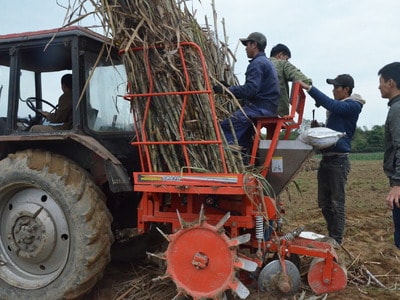 Công ty CP mía đường Sông Lam: Đổi mới để phát triển