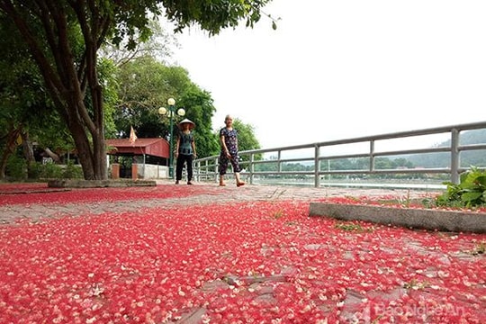 Đẹp ngỡ ngàng lâm viên trung tâm thị xã vùng núi Nghệ An