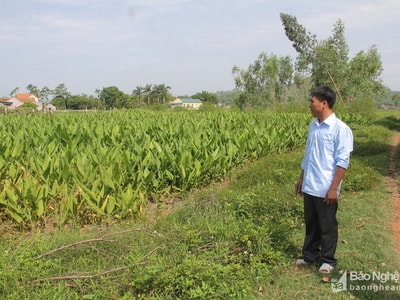 Qua mặt xã, trưởng thôn bán đất nông nghiệp