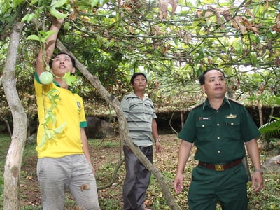 Gặp 'đầu tàu' chi bộ người Thái 5 năm liền Trong sạch vững mạnh tiêu biểu