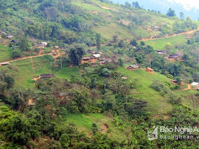 3 học sinh tiểu học ăn lá ngón, 1 em tử vong sau ngày học đầu tiên
