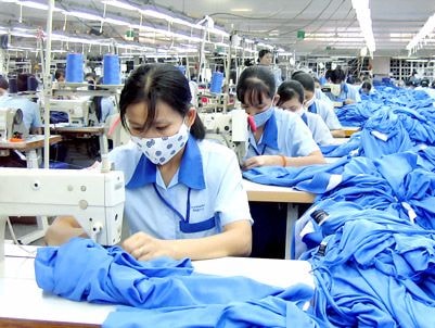 Ngành BHXH triển khai thu thập thông tin người tham gia BHXH, BHYT