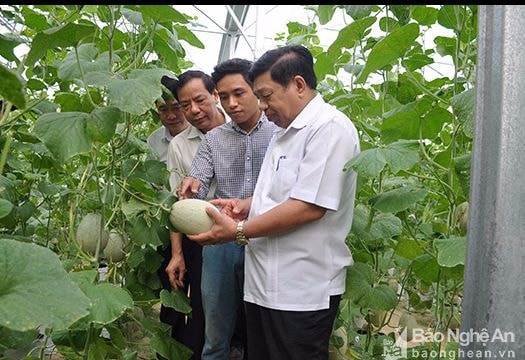 Kết nối cung cầu công nghệ cho doanh nghiệp tỉnh Nghệ An