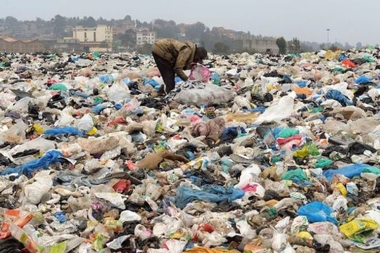 Kenya chính thức cấm dùng túi nylon