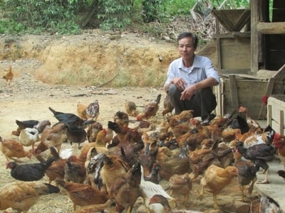 Liên kết chặt chẽ trong làm trang trại ở Tân Kỳ