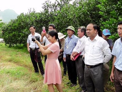 Cán bộ, giảng viên Trường Chính trị đi thực tế tại huyện Yên Thành