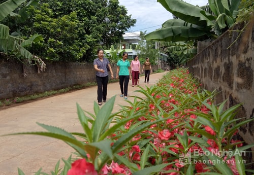 Muôn sắc đường hoa nông thôn mới ở Thái Hòa