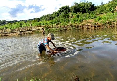 Bẫy cá 'độc, lạ' của trẻ em vùng cao Nghệ An