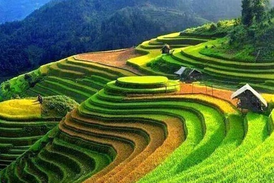 Những cung đường săn 'mùa vàng' Tây Bắc đẹp nhất tháng 9