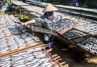 Làng cá nướng Nghệ An: Trời nóng 40 độ vẫn 'bám' bếp