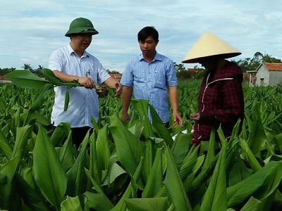 Luân chuyển cán bộ theo Nghị quyết 11-NQ/TW: Được cán bộ, được phong trào