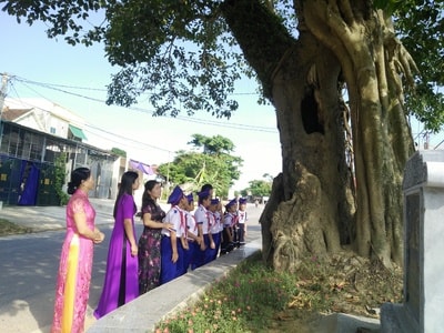 Hấp dẫn học ngoại khóa dưới bóng cây đa