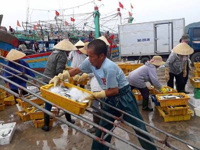 Ngư dân hối hả tiêu thụ hải sản khi tàu về tránh bão