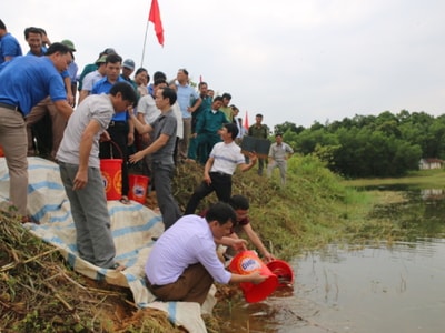 Thả hơn 1.000kg cá giống tái tạo nguồn lợi thủy sản