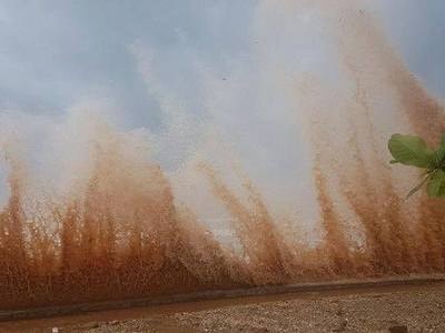 Thị xã biển Cửa Lò tan hoang sau bão số 10