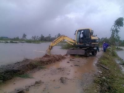 Nghệ An: Thủy triều dâng cao, cả trăm ha tôm bị xóa sổ