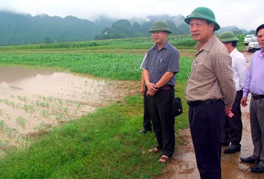 Phó Chủ tịch tỉnh Nghệ An nhắc nhở lãnh đạo huyện chậm cập nhật thiệt hại bão