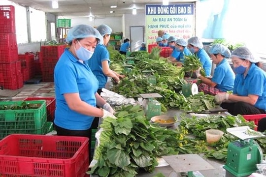 Chỉ đạo, điều hành nổi bật tuần qua của Chính phủ, Thủ tướng