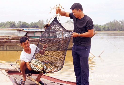 Cuộc sống làng chài Hưng Long sau bão