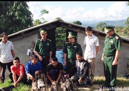 Hỗ trợ người dân Kỳ Sơn phát triển chăn nuôi