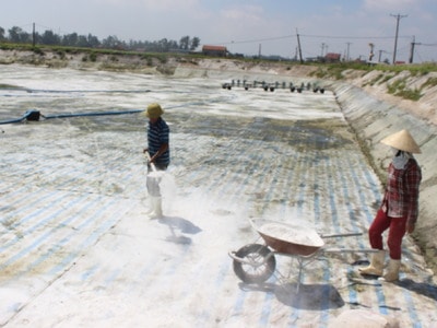 Nông dân Nghệ An lo lắng tôm nhiễm bệnh sau bão