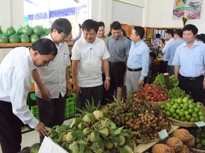 Nghệ An: Tạo chuỗi liên kết bền vững trong phát triển hợp tác xã