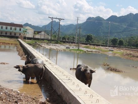 Anh Sơn 'tồn đọng' lượng lớn đất ở đấu giá