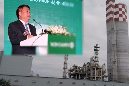 Chủ tịch Vinachem: Từ lùm xùm 'chồng bổ nhiệm vợ' đến kỷ luật cách chức