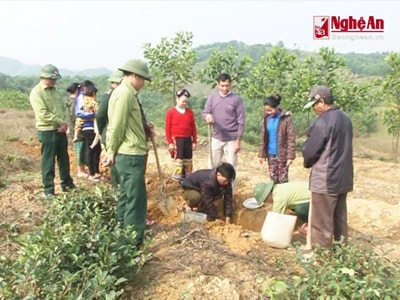 Đồn Biên phòng Ngọc Lâm giúp dân phát triển kinh tế